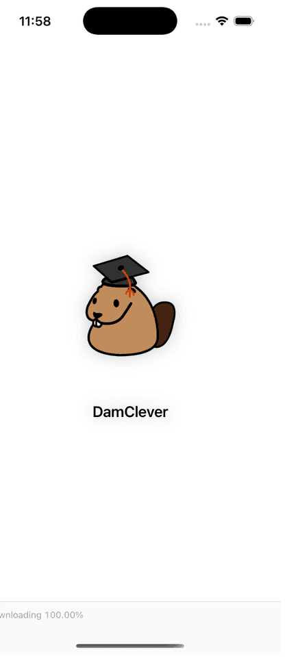 DamClever cover